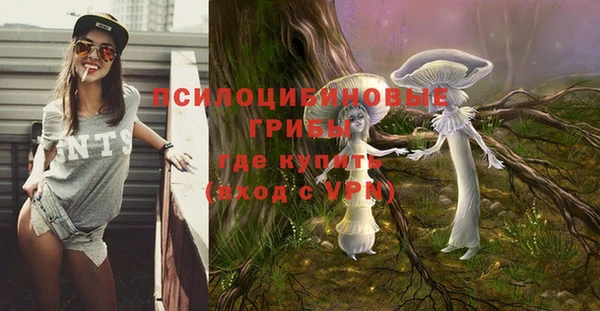 соль ск Нягань