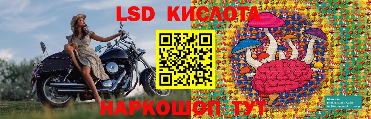 Марки NBOMe 1500мкг  Вязьма  Марки 25I-NBOMe  Марки NBOMe 1500мкг 