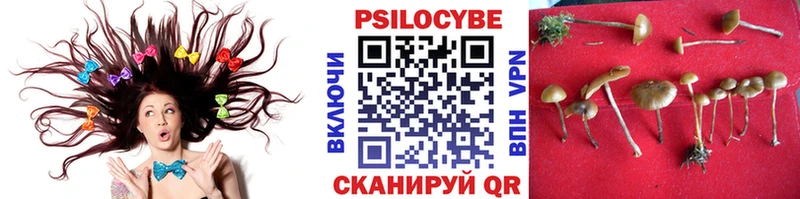 Псилоцибиновые грибы GOLDEN TEACHER  Вязьма 