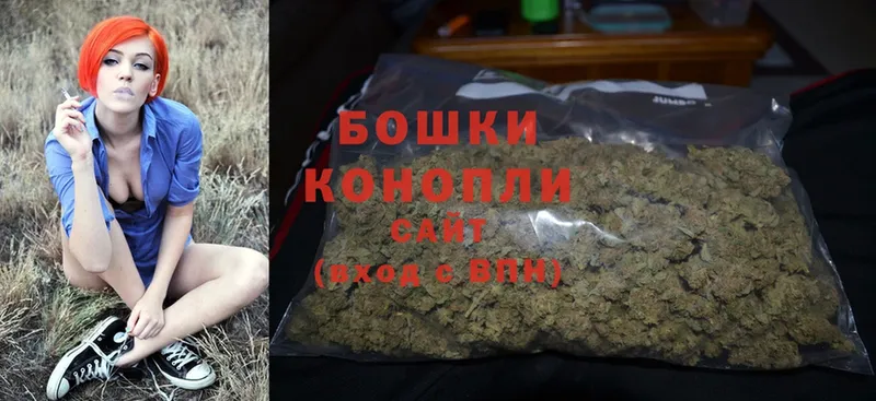 где купить наркотик  Вязьма  Конопля OG Kush 